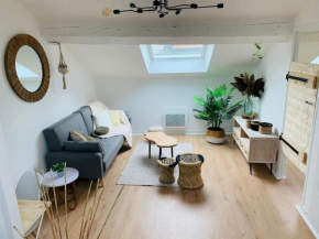 Appartement en centre-ville